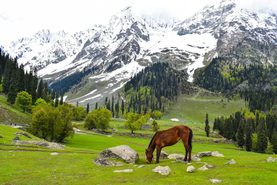 Kashmir Tour Package