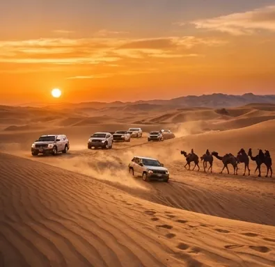 Desert Safari